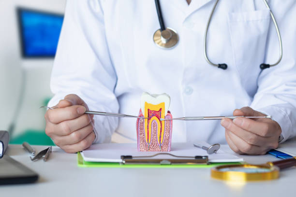 Best Urgent Dental Care for Toothaches in Minneapolis, KS